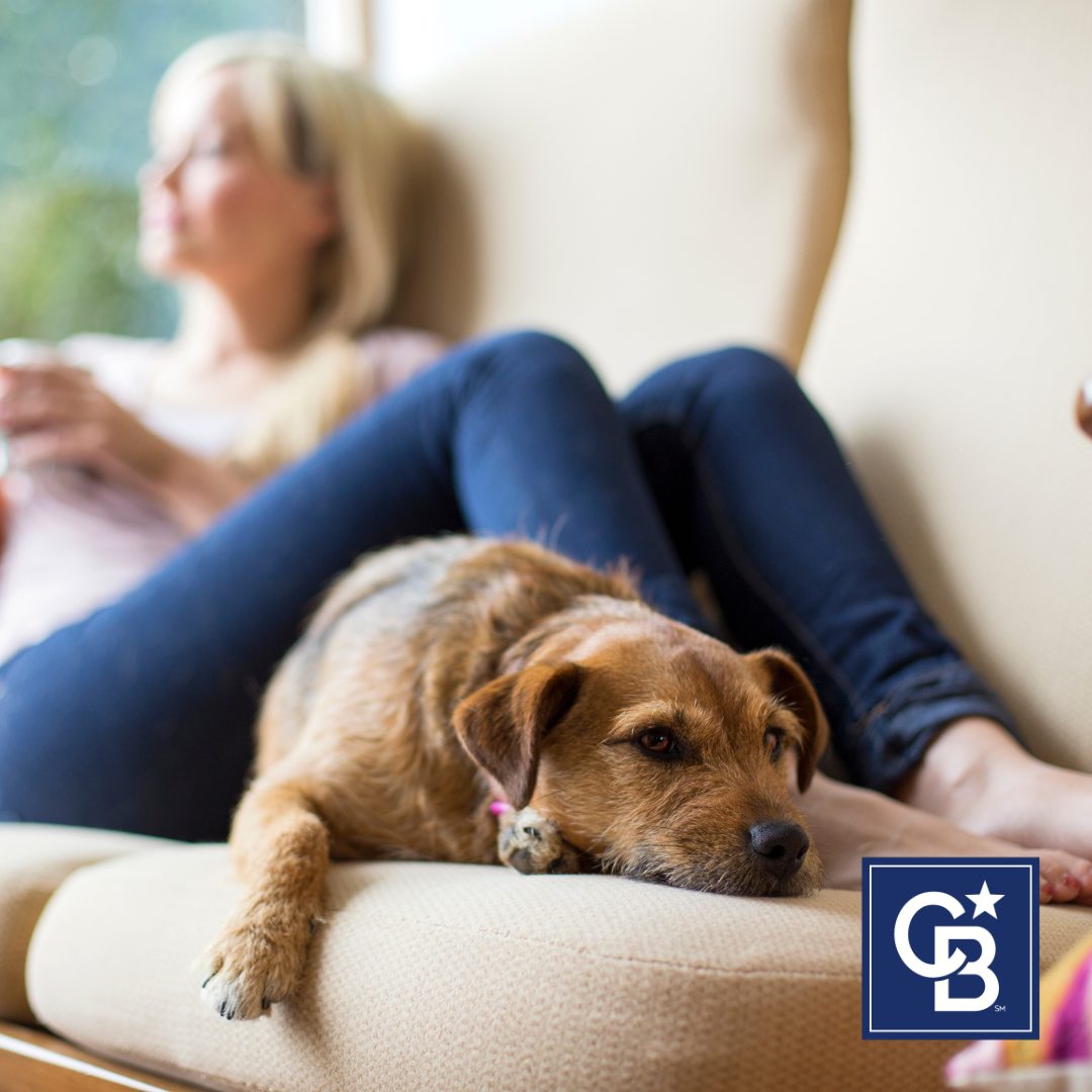 Woman relaxing at home on the couch with a cup of coffee and her dog, enjoying the peace and comfort of owning a home.